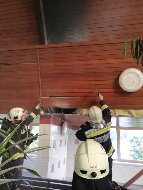 Hol tudom megnézni az adószámlám és az adóhátralékom Útmutató vállalkozóknak