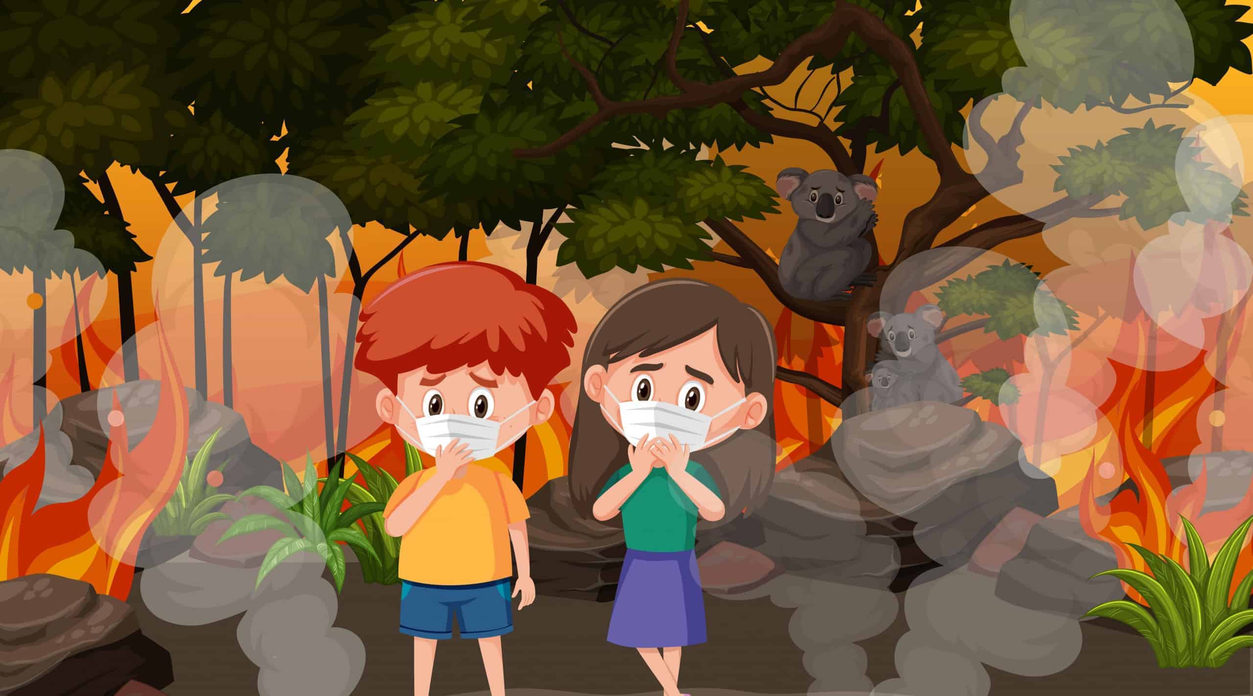 Hol tudom megnézni az adószámlám és az adóhátralékom Útmutató vállalkozóknak