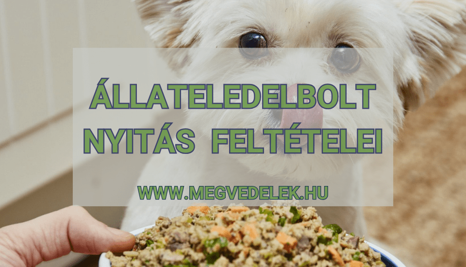 Hol tudom megnézni az adószámlám és az adóhátralékom Útmutató vállalkozóknak