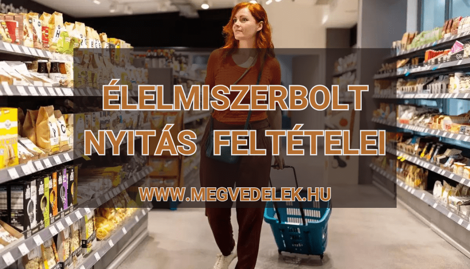 Hol tudom megnézni az adószámlám és az adóhátralékom Útmutató vállalkozóknak