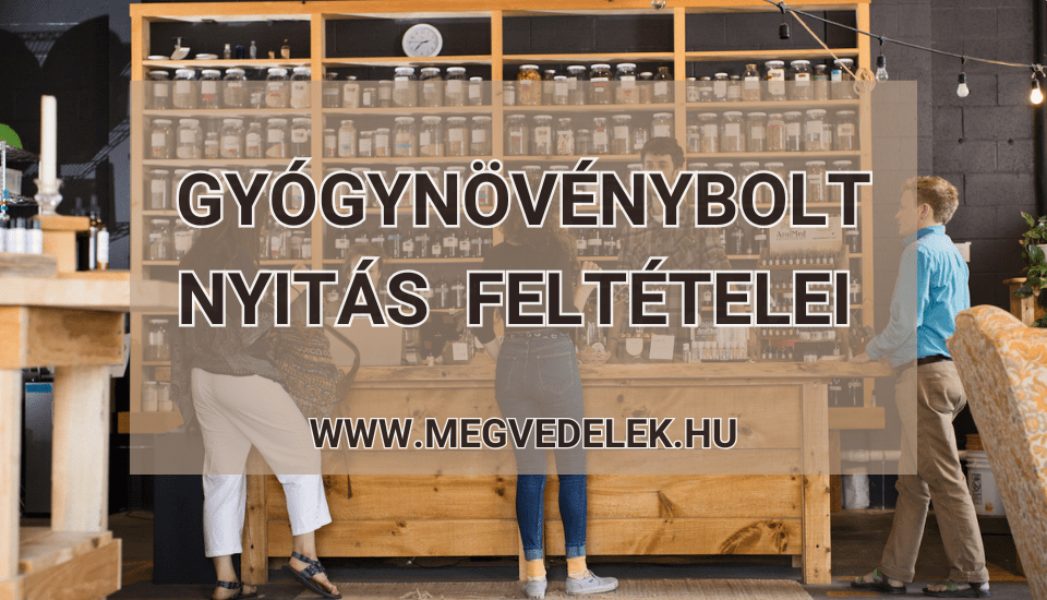 Hol tudom megnézni az adószámlám és az adóhátralékom Útmutató vállalkozóknak