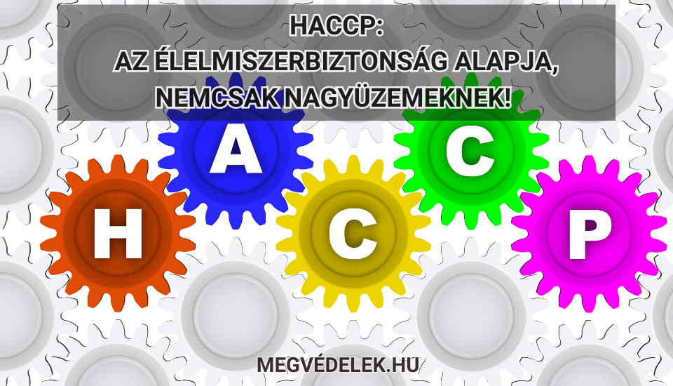 Hol tudom megnézni az adószámlám és az adóhátralékom Útmutató vállalkozóknak