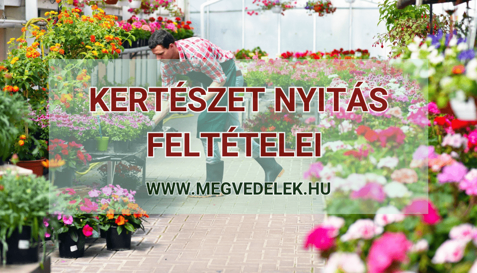 Hol tudom megnézni az adószámlám és az adóhátralékom Útmutató vállalkozóknak