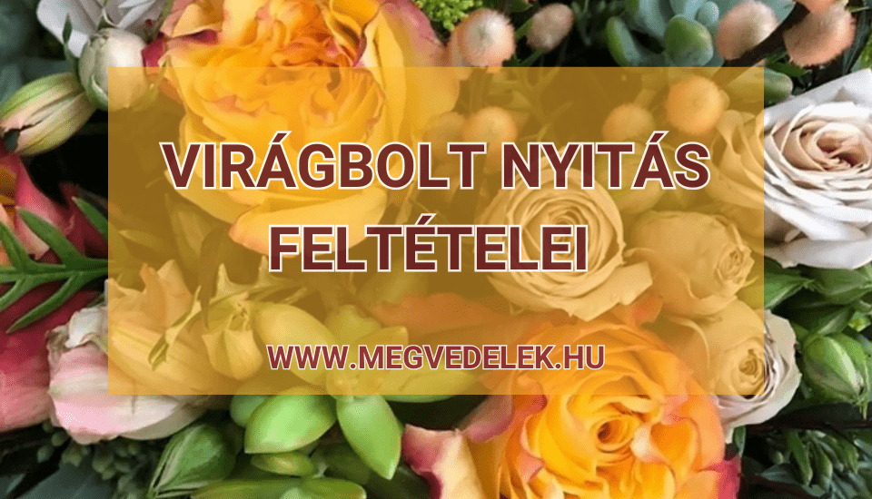 Hol tudom megnézni az adószámlám és az adóhátralékom Útmutató vállalkozóknak