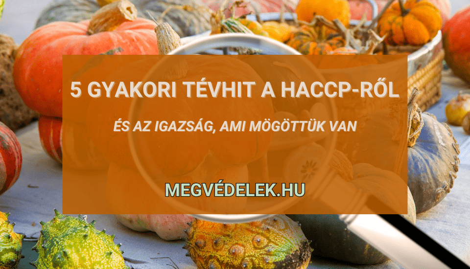 Hol tudom megnézni az adószámlám és az adóhátralékom Útmutató vállalkozóknak