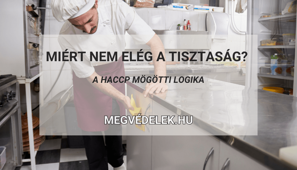 Hol tudom megnézni az adószámlám és az adóhátralékom Útmutató vállalkozóknak