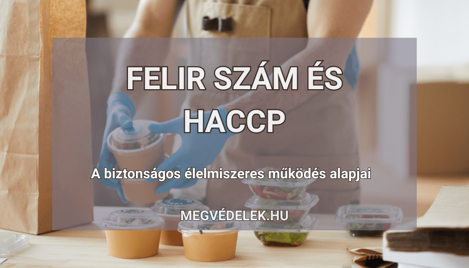 Hol tudom megnézni az adószámlám és az adóhátralékom Útmutató vállalkozóknak