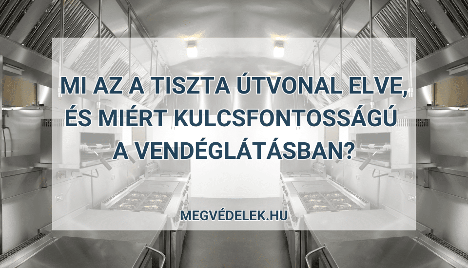 Hol tudom megnézni az adószámlám és az adóhátralékom Útmutató vállalkozóknak