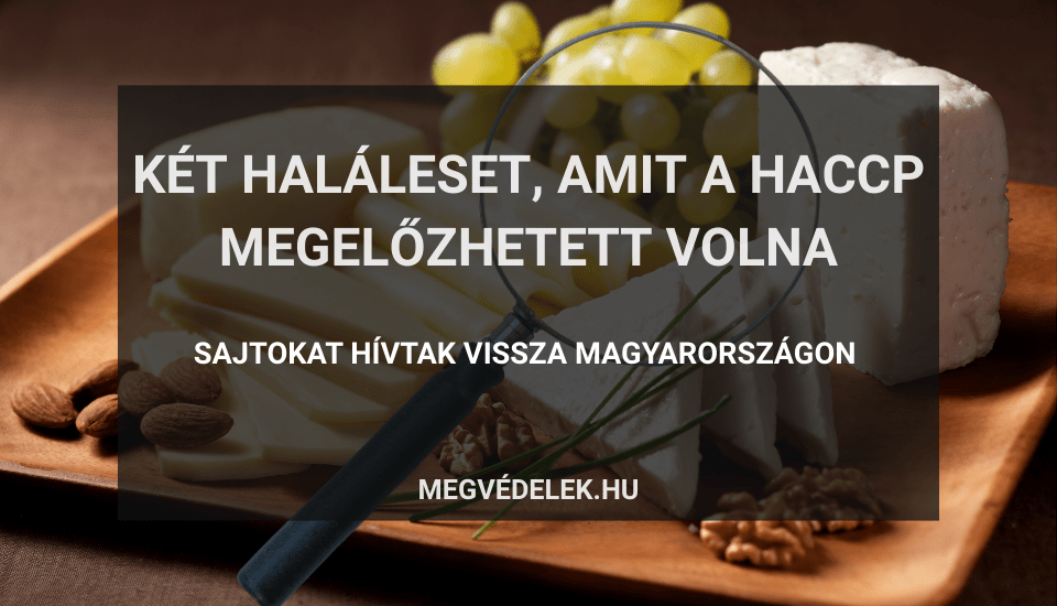 Hol tudom megnézni az adószámlám és az adóhátralékom Útmutató vállalkozóknak