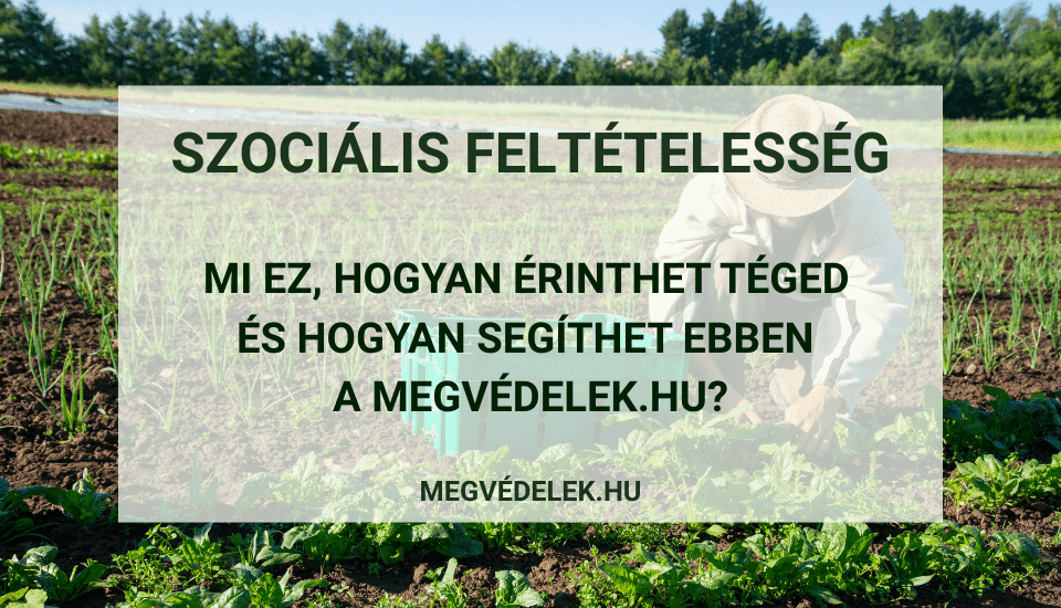 Hol tudom megnézni az adószámlám és az adóhátralékom Útmutató vállalkozóknak