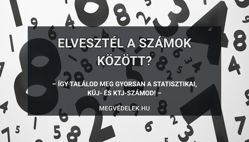 Hol tudom megnézni az adószámlám és az adóhátralékom Útmutató vállalkozóknak